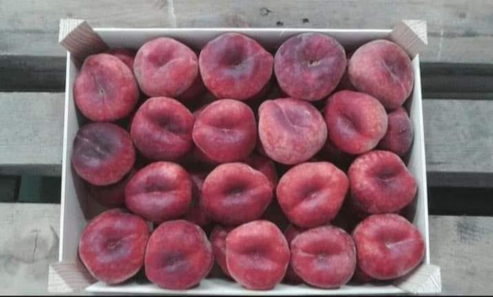 Fruit 16