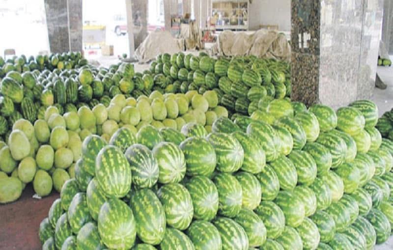 Fruit 6
