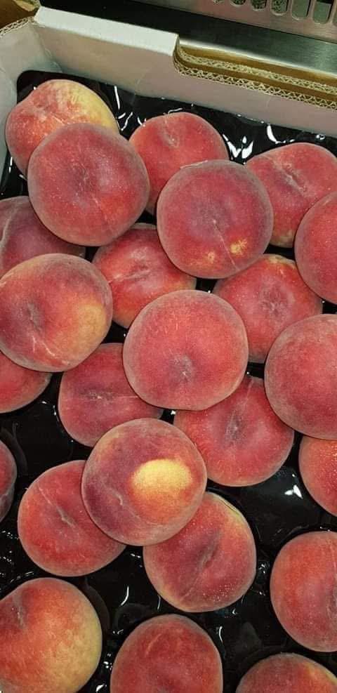 Fruit 9