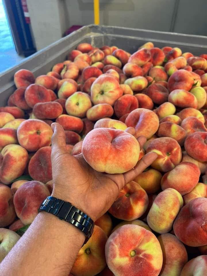 Fruit 10