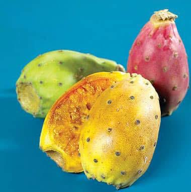 Fruit 19
