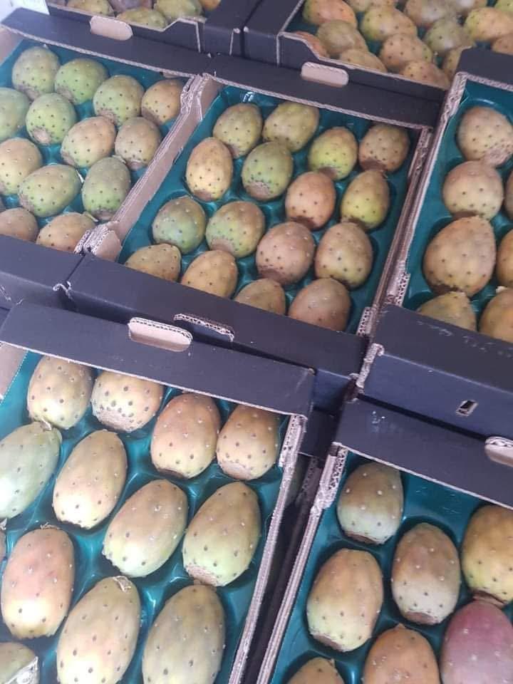 Fruit 4