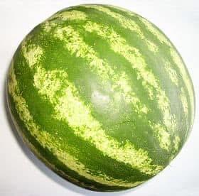 Fruit 17
