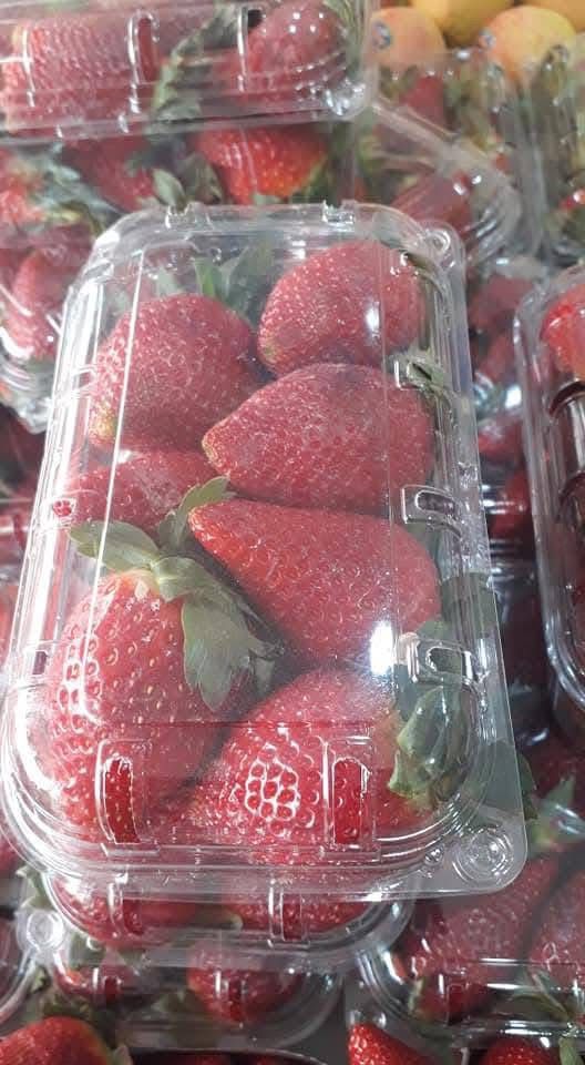 Fruit 7